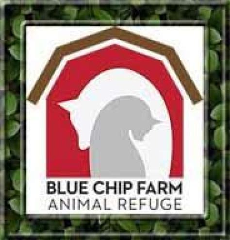 blue chip farm animal refuge|blue chip dog rescue dallas pa.